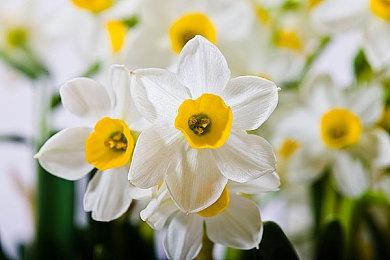 《街头霸王6》开发者：希望与DC或漫威展开联动